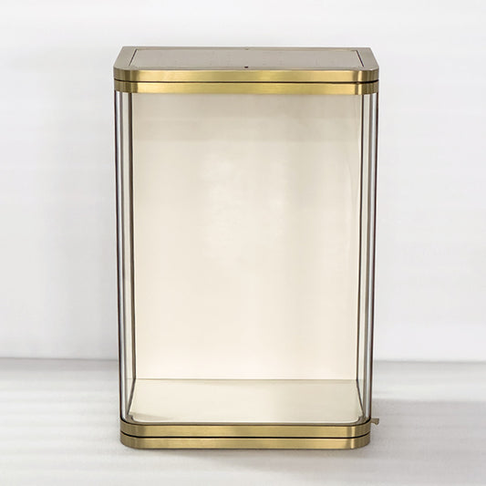 DM253 Wall Mounted Jewelry Display Showcase