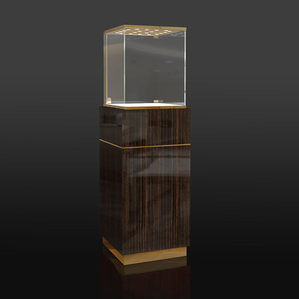 FA-26 Retail Store Display Case for Jewelry | Besty Display